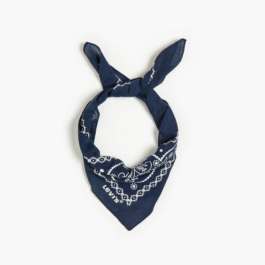 Paisley Bandana
